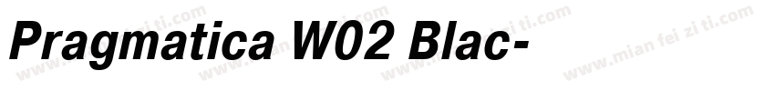 Pragmatica W02 Blac字体转换